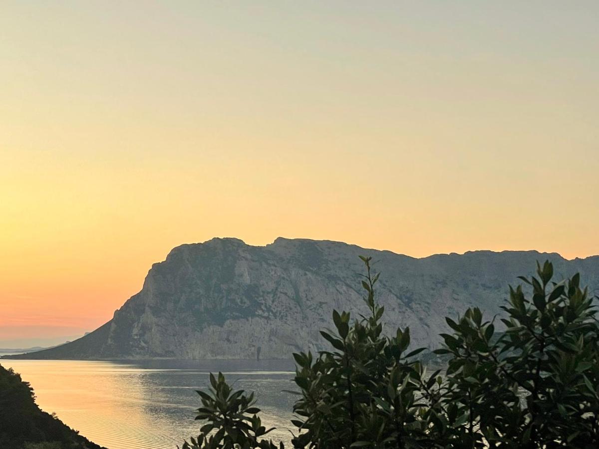 Ferienwohnung SAN TEODORO PUNTA EST DELIZIOSO MONOLOCALE VISTA MARe Exterior foto