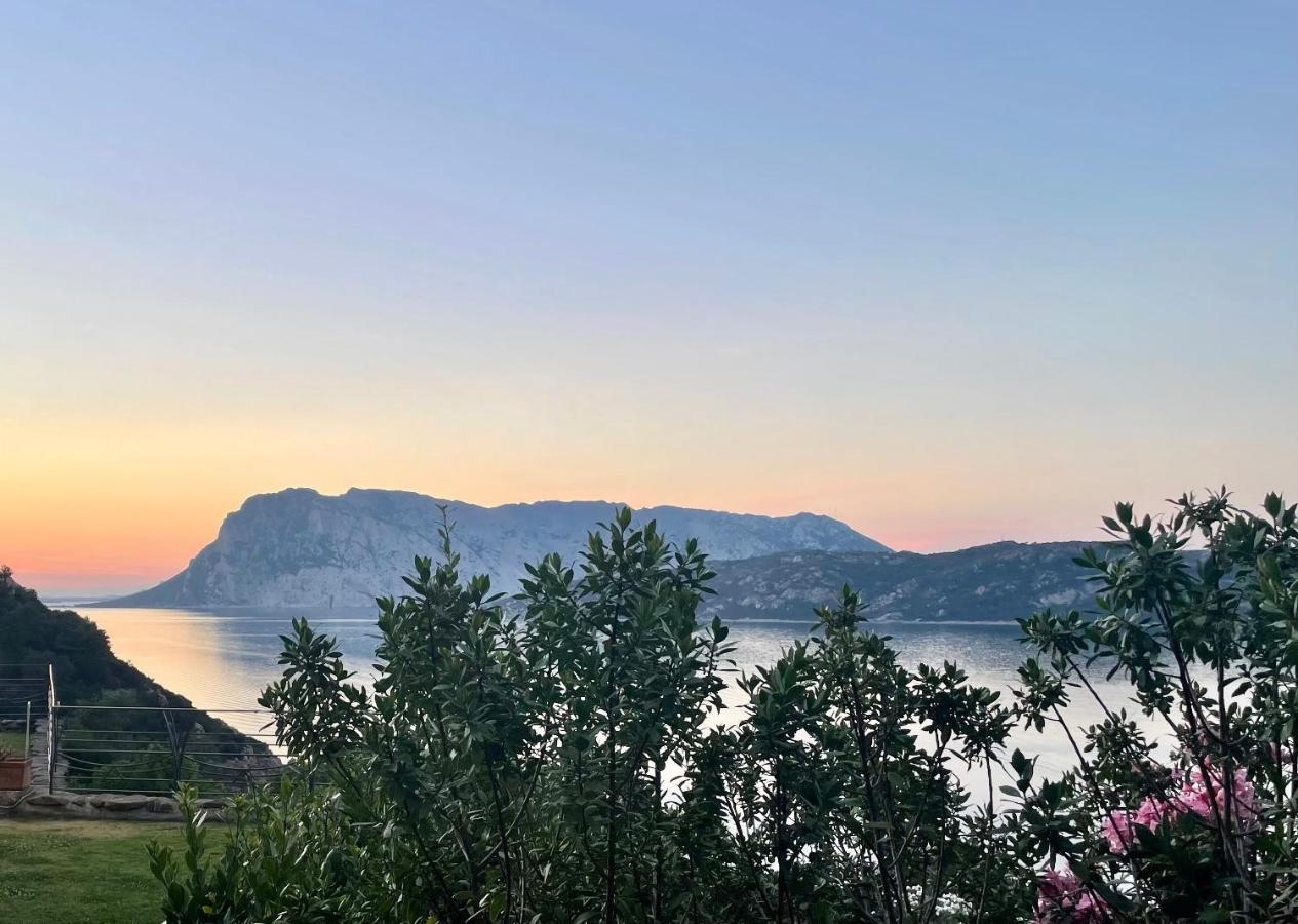 Ferienwohnung SAN TEODORO PUNTA EST DELIZIOSO MONOLOCALE VISTA MARe Exterior foto