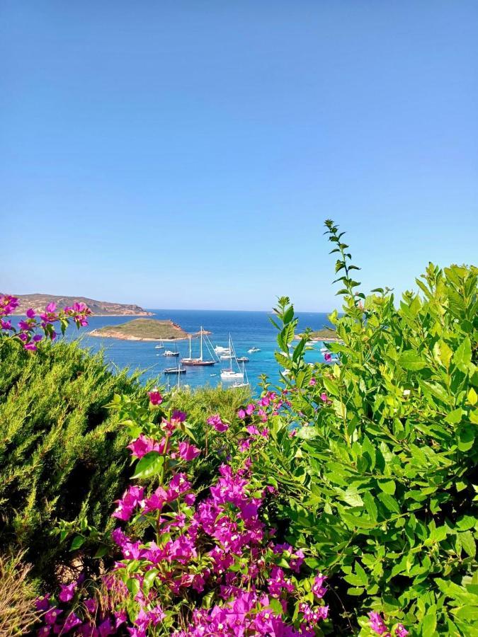 Ferienwohnung SAN TEODORO PUNTA EST DELIZIOSO MONOLOCALE VISTA MARe Exterior foto